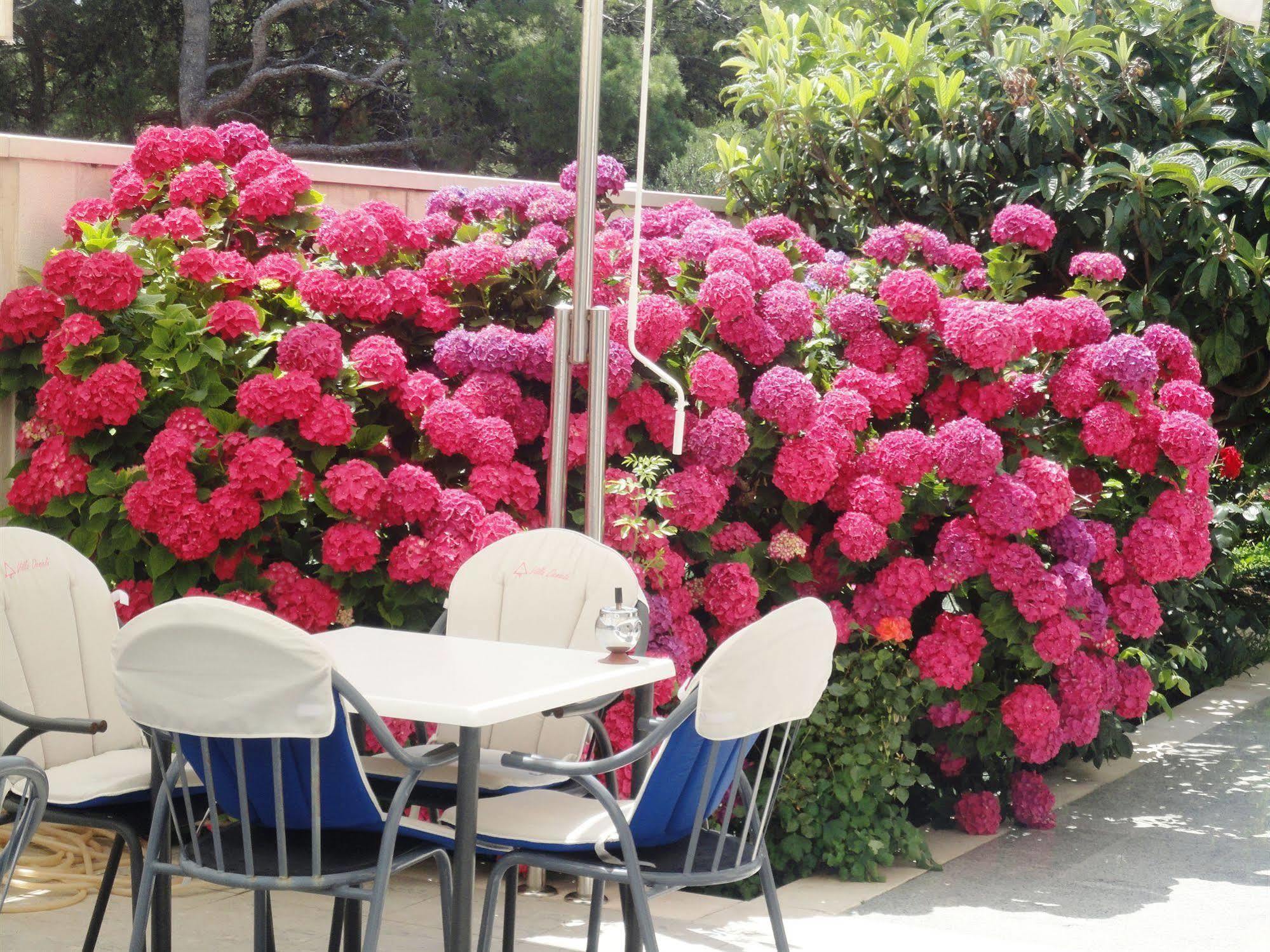 Villa Daniela ボル エクステリア 写真